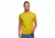 Black Diamond Motion Tee - Mens, Sulphur, Extra Large, AP7520407006XLG1