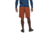 Black Diamond Sierra Shorts - Mens, Burnt Sienna, Large, AP7511016044LRG1