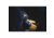 Black Diamond Spark Gloves, Henna-Ink Blue, Large, BD8011309498LRG1