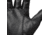 Black Diamond Torque Gloves, Black, Large, BD8011480002LRG1