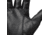 Black Diamond Torque Gloves, Black, Small, BD8011480002SML1