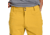 Black Diamond Valley Shorts - Mens, Amber, 32, AP75015520070321