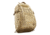 BlackHawk Stax EDC Pack, Coyote Tan, 60ST01CT