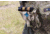 Blue Force Gear Medium Trauma Kit, Empty, Multicam HW-M-TKN-EMPTY-MD-MC