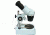 Celestron Advanced Stereo Microscope 20x/40x Bino Head Halogen Lamp - 44202