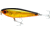 Bomber Saltwater SW Badonk Hi P Topwater Lure. 3.5in, 1/2oz, Gold/Black/Orange, BSWDTH4350