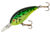 Bomber Fat Free Guppy Crankbait, 2 3/8in, 3/8oz, Dances Fire Tiger, BD5MDFT