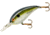 Bomber Fat Free Guppy Crankbait, 2 3/8in, 3/8oz, Dances Tennessee Shad, BD5MDTS