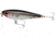 Bomber Saltwater SW Badonk Hi P Topwater Lure. 3.5in, 1/2oz, Spckld Trout, BSWDTH4342