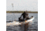 Bote Hidea 6HP Outboard Motor, HDF6HS