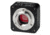 Alpen MikroCam SP 5.0 MP Camera 5914520