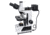 Bresser Science ADL-601P Trinocular Microscope,50x-600x 5770200
