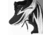Brooks Ghost 17 - Mens
