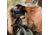 Bushnell Bone Collector 1000 Lrf 6x25mm Gray