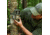 Bushnell Trail Cam Prime L20 20mp Low Glo, Tan, Box, 119930B
