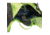 C.A.M.P. Trail Vest 5 Pack, 241