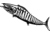 Calcutta Fish Decals