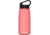 CamelBak Carry Cap Watter Bottle w/Tritan Renew, Rose, 32oz, 2444601001