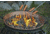 Camp Chef Safety Roasting Stick, 4 Piece, 4-Pack, Wood, Silver/Tan, SRS4E