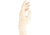Cardinal Health CP100 Nitrile Gloves, Cardinal Health 2Y1849