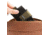 Carson Compact Travel Wallet, Black/Olive, EW-10OL
