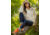 Carve Designs Clara Fleece Pullover - Womens, Birch Even Stripe, Medium, FLPO15-282-MD