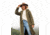 Carve Designs Sutton Boucle Jacket - Womens, Fir, Medium, JCLF25-392-MD