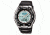 Casio Outdoor FISHING TIMER - THERM/MOON, Black AQW101-1ACF