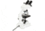 Celestron Labs CB2000CF Compound Binocular Microscope,10x,20x Eyepieces,4x,10x,40x,100x Achromatic Objective Lenses 44131
