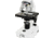 Celestron Labs CB2000CF Compound Binocular Microscope,10x,20x Eyepieces,4x,10x,40x,100x Achromatic Objective Lenses 44131