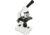 Celestron Labs CM2000CF Compound Microscope,10x,20x Eyepieces and 4x,10x,40x,100x Achromatic Objective Lenses 44130