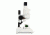 Celestron Labs S20 Stereo Microscope,10x Eyepieces,2x Objective Lenses 44207