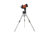 Celestron NexStar 6SE Special Edition 6in Schmidt-Cassegrain Telescope 11068