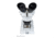 Celestron S10-30N, Stereo Microscope, White, 44138