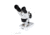 Celestron S10-30N, Stereo Microscope, White, 44138