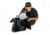 Celestron StarSense Explorer 130mm Tabletop Dobsonian, Silver/Black, 22481