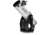 Celestron Starsense Explorer Dobsonian Telescope, 10in, 48x, 22471