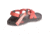 Chaco Z Cloud Sandal - Women's, Charlie Peach, 9 US J106602-09.0