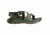 Chaco Z1 Classic Sandal - Men's, Accordion Green, 12 US J106167-12.0