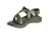 Chaco Z1 Classic Sandal - Men's, Accordion Green, 12 US J106167-12.0