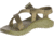 Chaco Z1 Classic - Womens, Aloe, Medium, 11.0, JCH107606-11.0