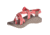Chaco Z2 Classic Sandal - Women's, Swell Peach, 8 US J106566-08.0