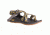 Chaco Z2 Classic Sandal - Women's, Quilt Golden, 6 US J106570-06.0