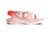 Chaco Zcloud Multi-Sport Sandals - Womens, Waffle Rose, Medium, 06.0, JCH107666-06.0