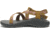Chaco ZCloud Sandal - Womens, Overhaul Bronze, 5, Medium, JCH109026-5