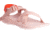 Chaco ZCloud - Womens, Waffle Rose, Medium, 05.0, JCH107666-05.0