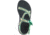 Chaco ZCloud - Womens, Wubwub Katydid, Medium, 7, J107094-7
