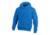 Champion Mens Powerblend Eco Fleece Hoodie, Royal, Small S700 S RB