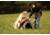 Champion Targets Trap Cover for SST and Easy Bird Automatic Traps