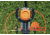 Champion Traps and Targets Wheelybird 2.0, 40925